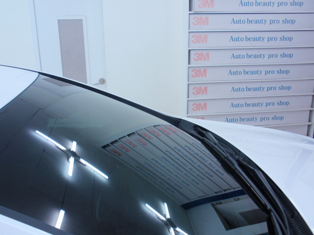 110514_3mgaya142516.JPG
