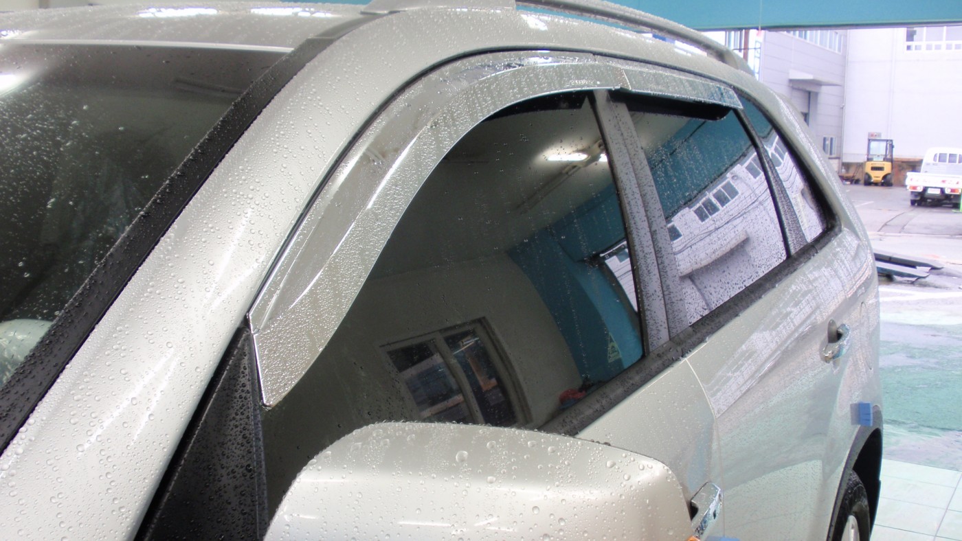 110820_3mgaya093315.JPG